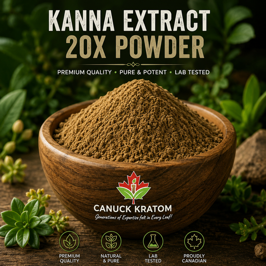 Kanna Extract 20X - Canuck Kratom