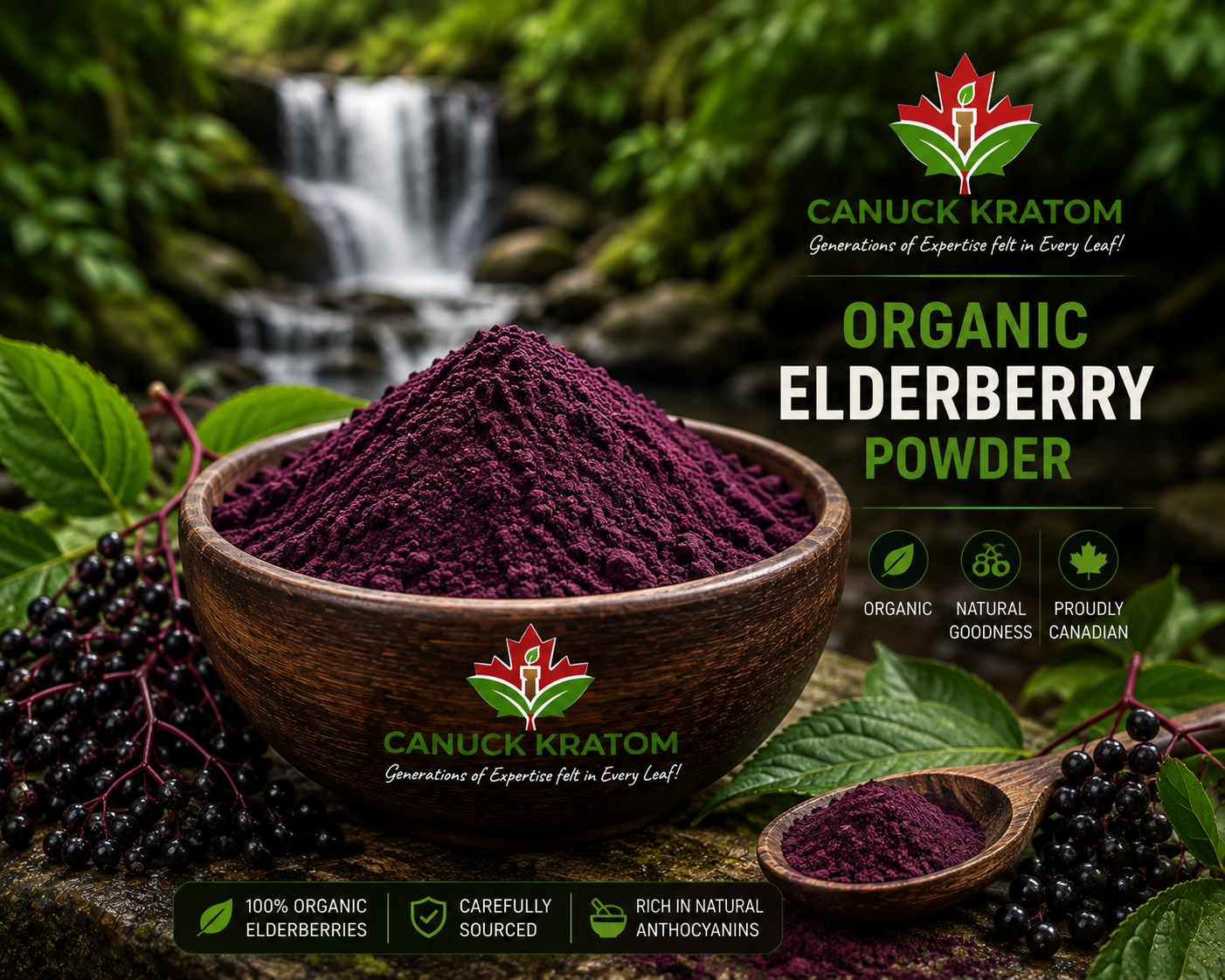 Organic Elderberry Powder 100G - Canuck Kratom