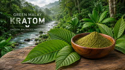 Premium Green Malay Kratom powder Canada – carefully sourced and finely ground kratom