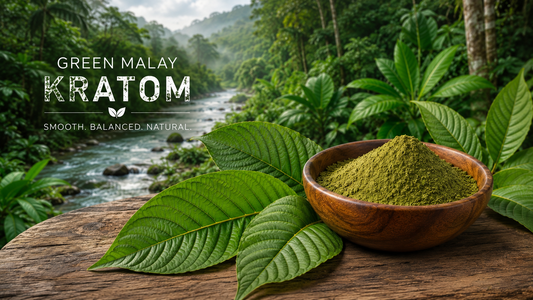 Premium Green Malay Kratom powder Canada – carefully sourced and finely ground kratom