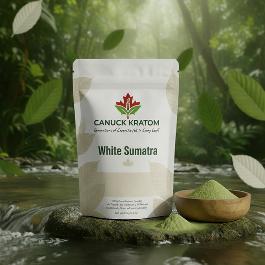 Premium White Sumatra Kratom powder in Canada by Canuck Kratom